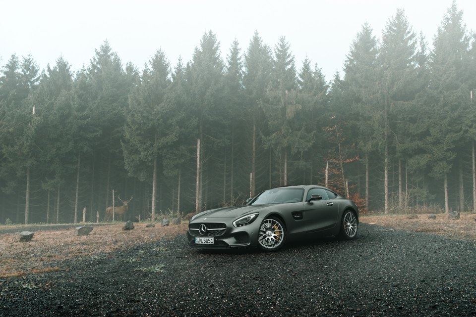 amg_gts_nov2015_maxpischkale (17)